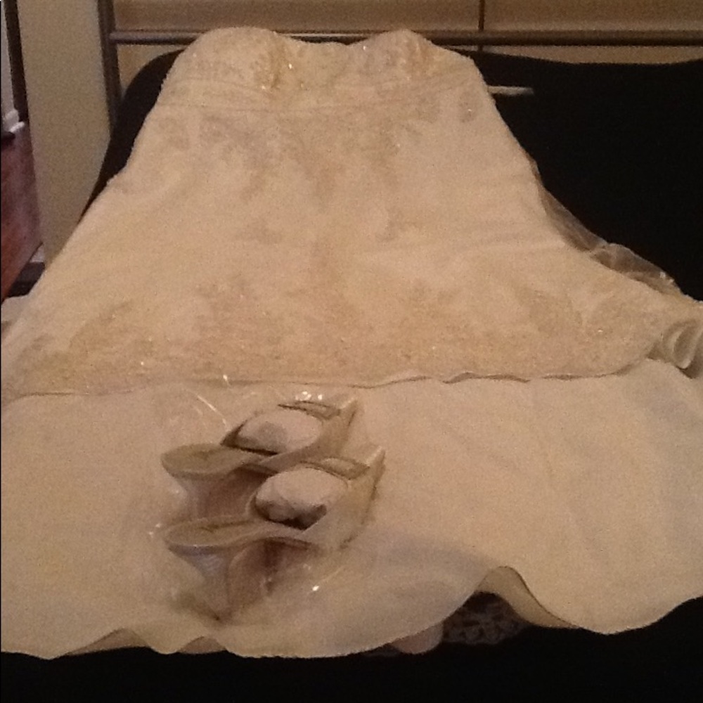 Two wedding dresses with all the accessories